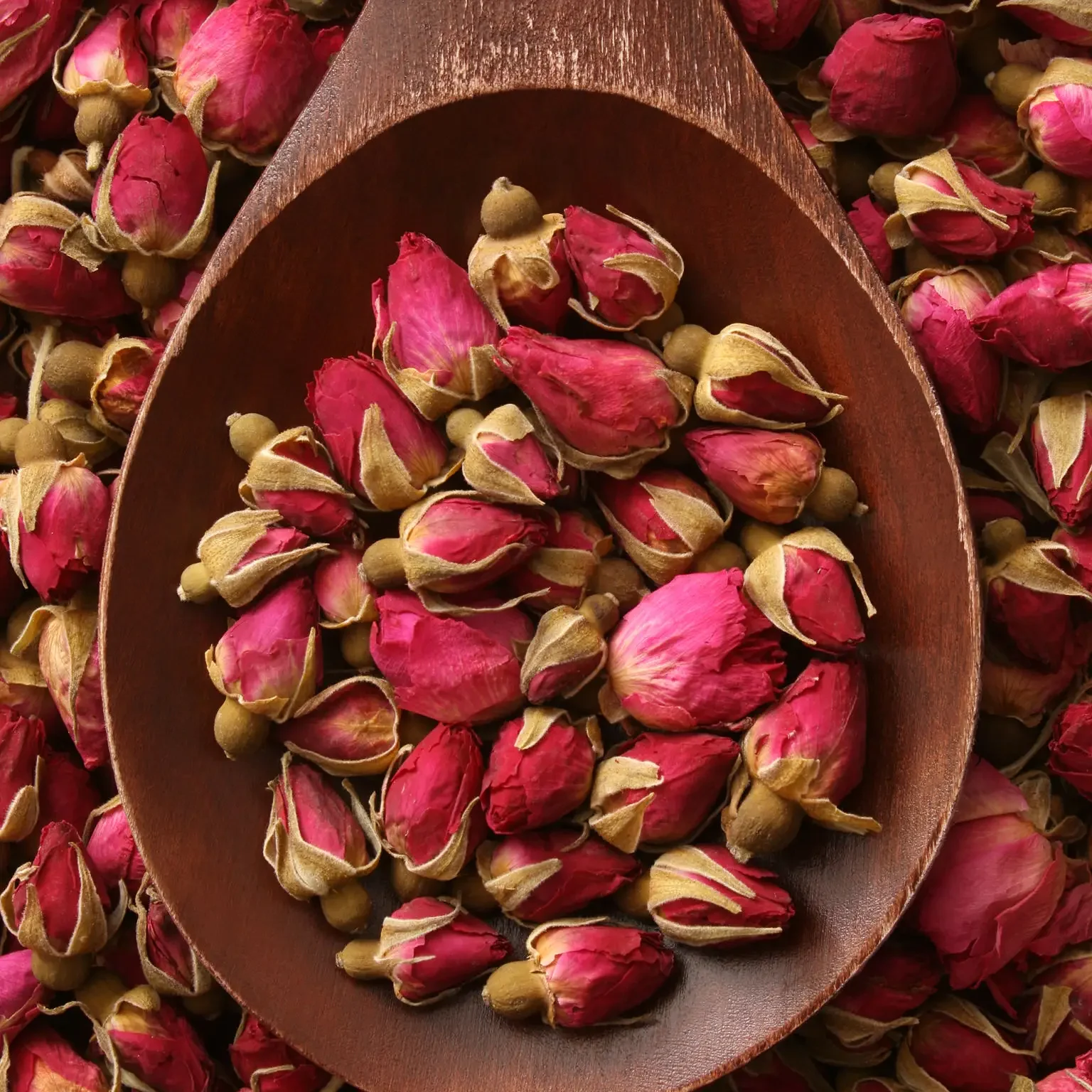 Dried pink rosebuds in wooden spoon